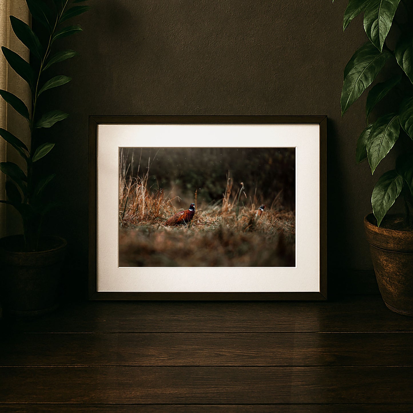 hidden jewel of the meadow