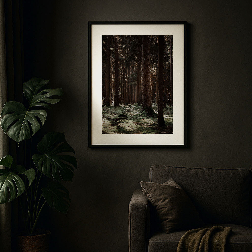 the breath of trees